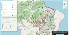 X-ray of the CAR - Forest Code balance per property